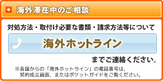 海外ホットライン